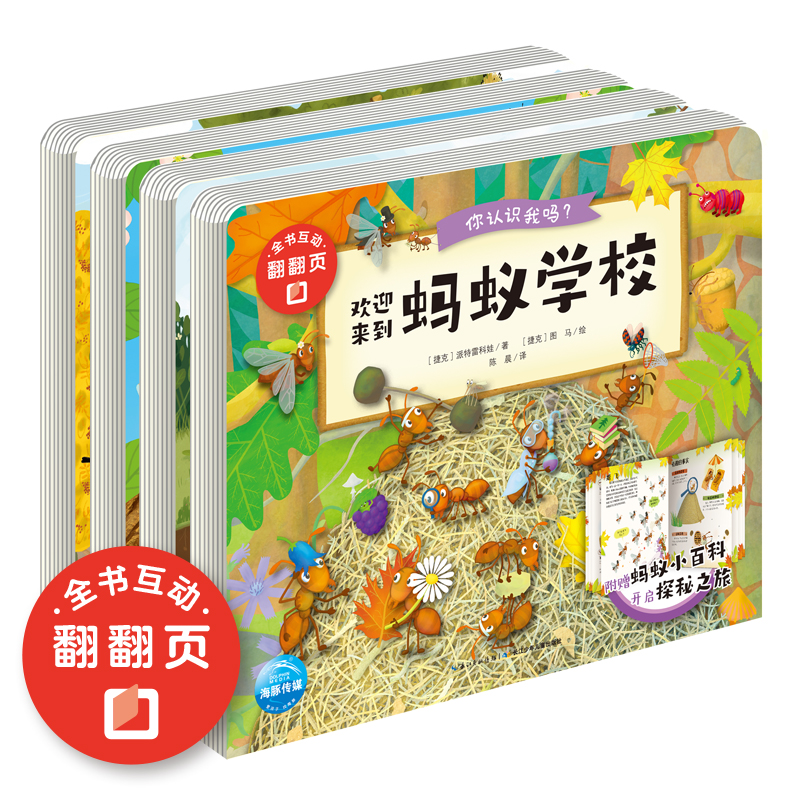 你認(rèn)識我嗎？（套系）